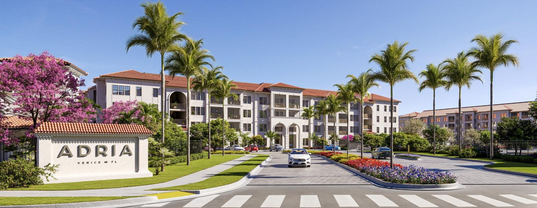 a street with palm trees and a building in the background